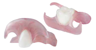 digital flexible partial dentures